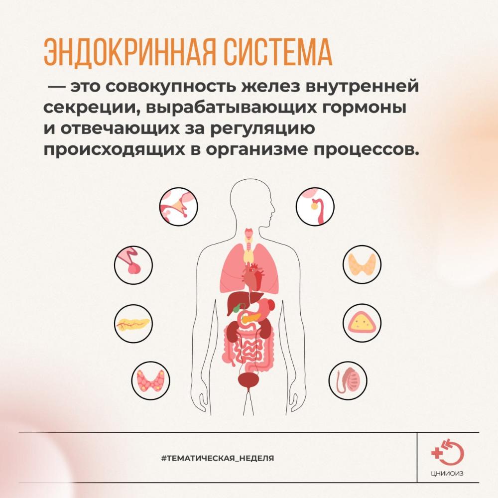 Неделя профилактики заболеваний эндокринной системы