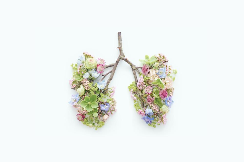 С 3 по 9 ноября стартовала  Неделя профилактики рака лёгких